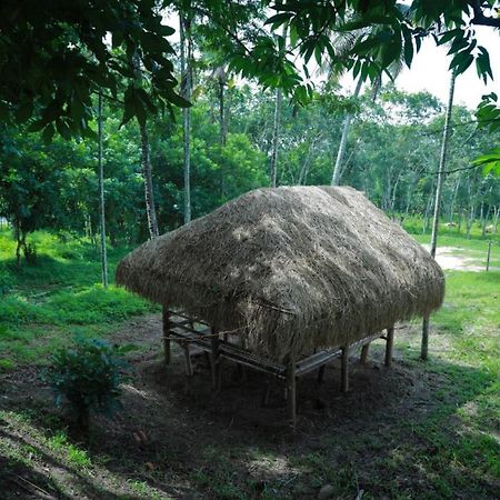 Royal Wooden Villa مانانثافادي المظهر الخارجي الصورة