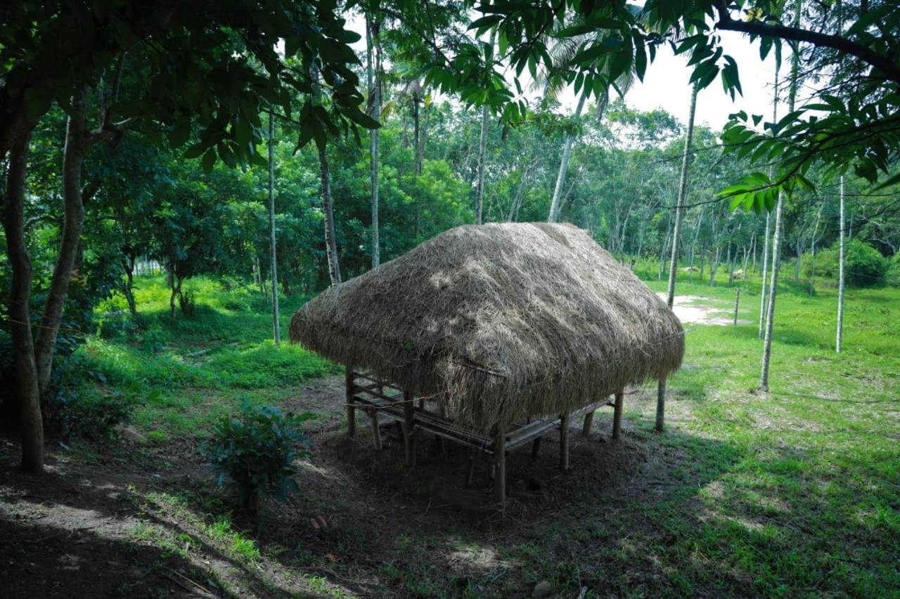 Royal Wooden Villa مانانثافادي المظهر الخارجي الصورة