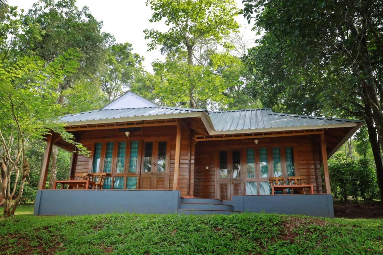 Royal Wooden Villa مانانثافادي المظهر الخارجي الصورة